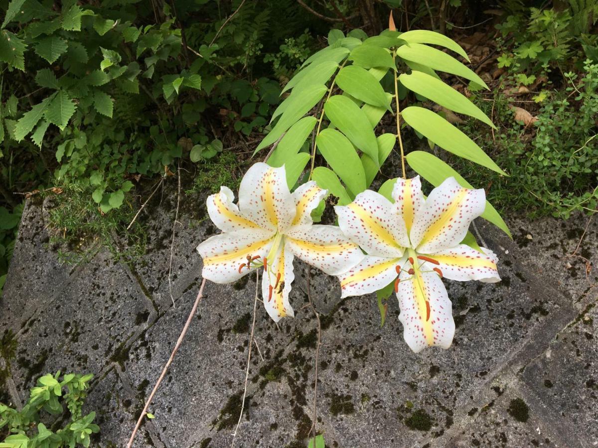 Pension ぽかぽか（Poka Poka） Katashina Bagian luar foto